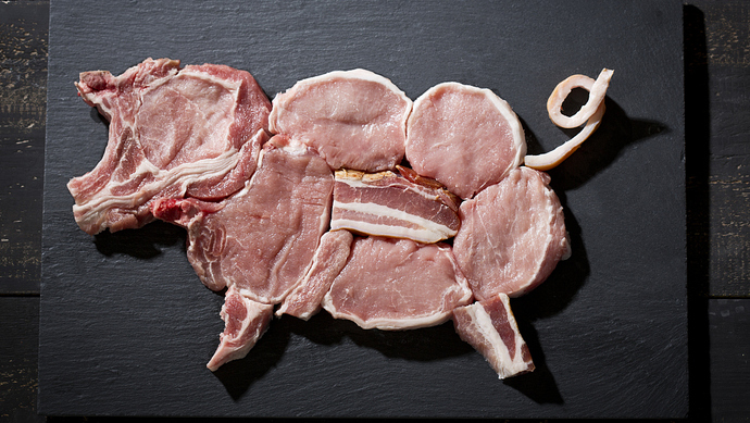 拯救“二師兄”，從選擇核酸提取方法開始